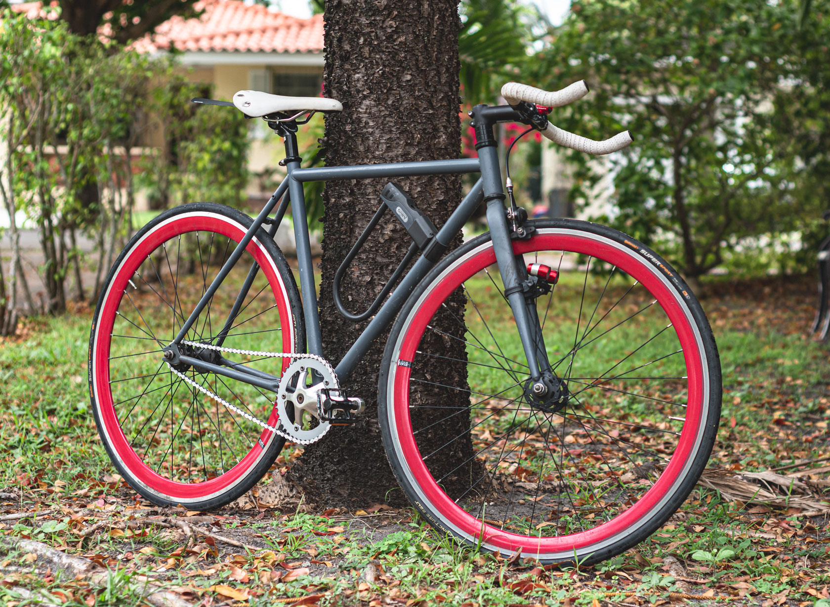 Montra fixie sales 2018